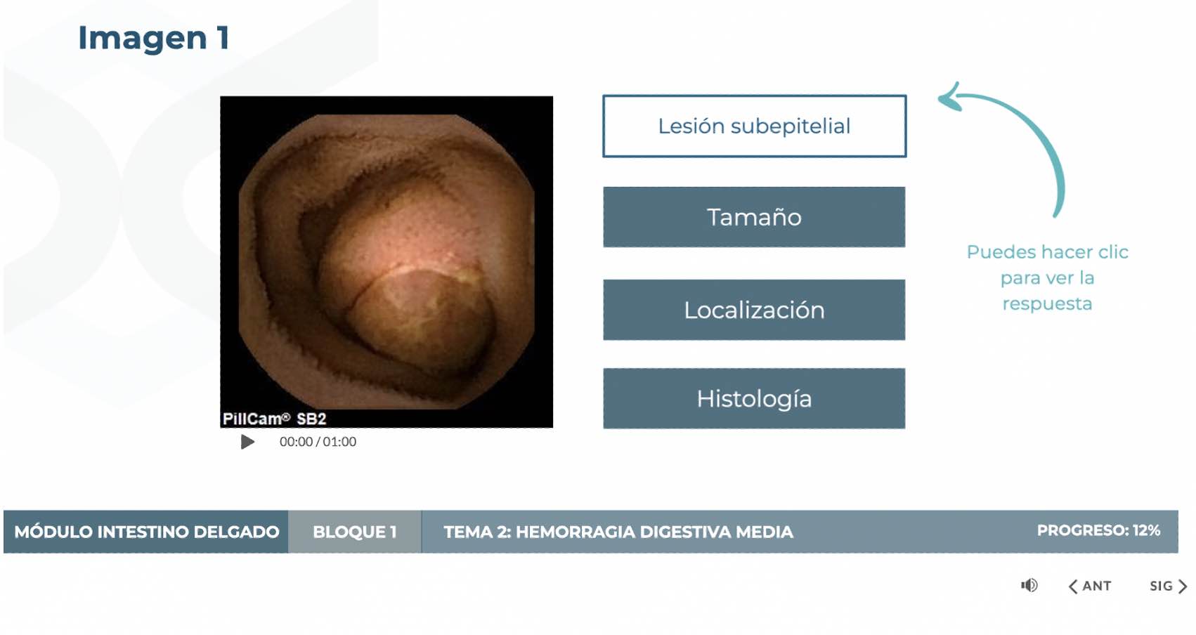 curso capaticacion capsula endoscopica - owl eyes academy - 011